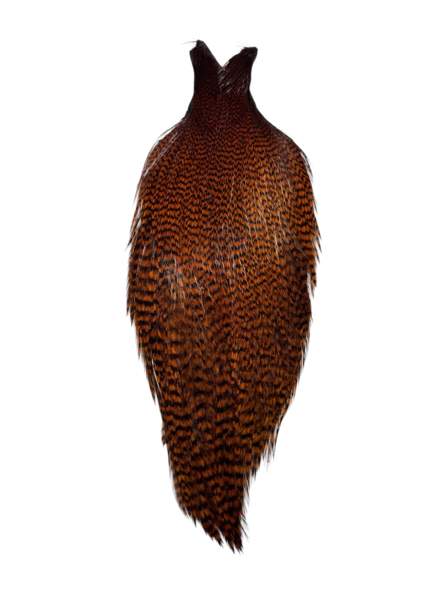 Ewing Grizzly Rooster Whole Cape