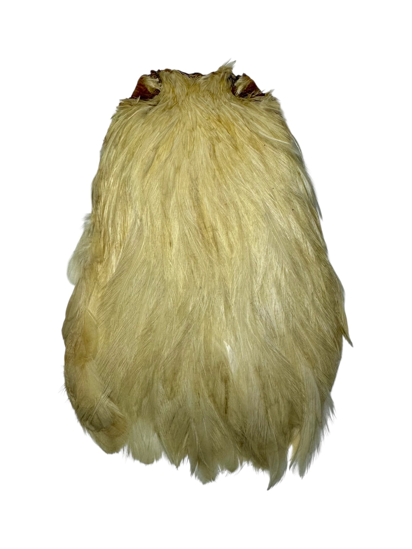 Dry Fly Rooster Neck | Prime