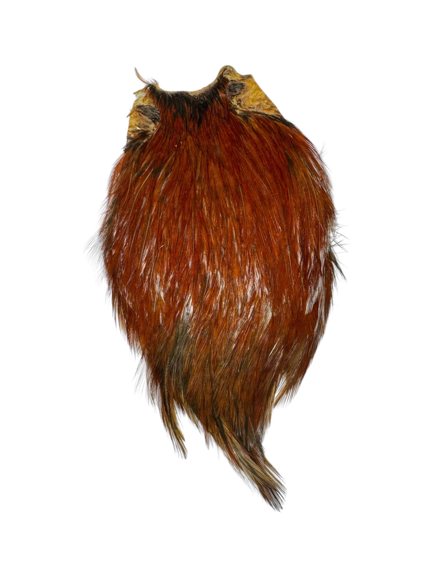 Dry Fly Rooster Neck | Prime