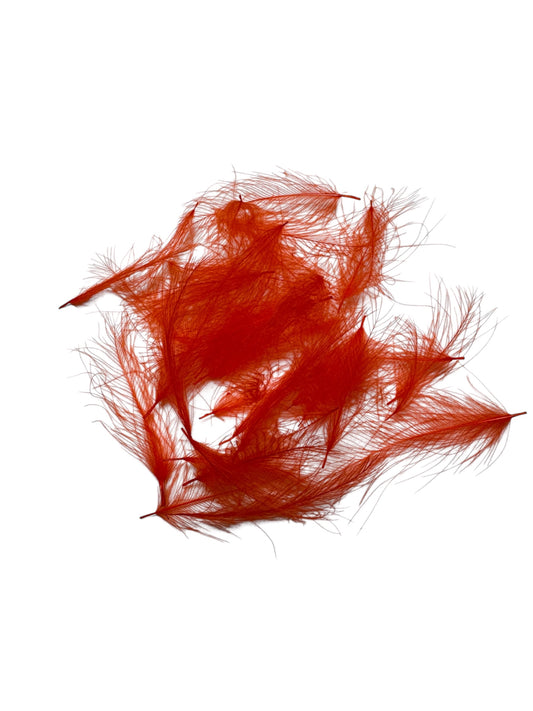 Cul de Canard (CDC)