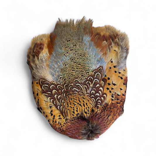 Ringneck Pheasant Skin No Tail