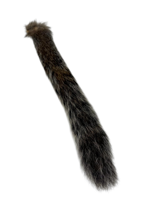 Squirrel Tail