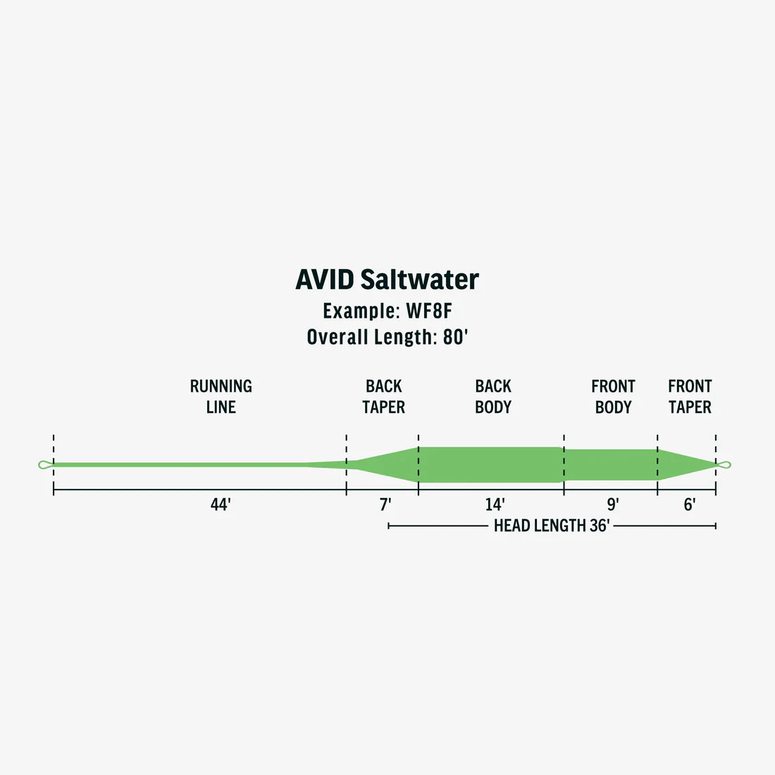 Avid Saltwater Fly Line