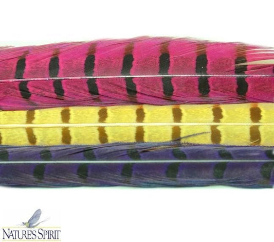 Ringneck Pheasant Center Tails