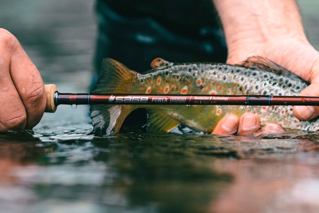 shop FLY その他 Patrick's Shop Fishing Fly Original Seattle's | Shop Fly その他