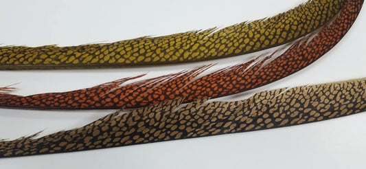 Golden Pheasant Center Tail -