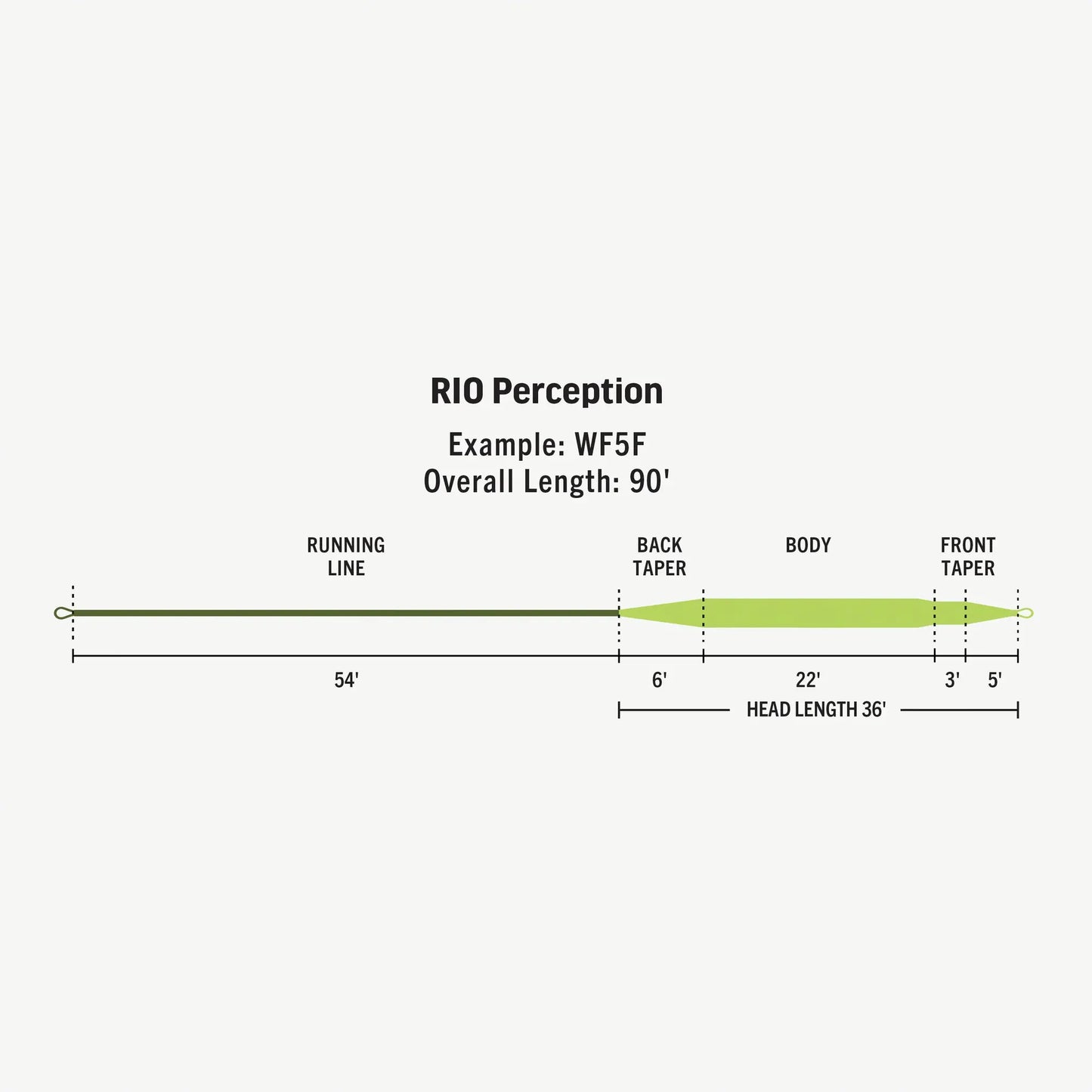 Premier Perception