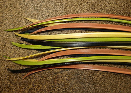 Turkey Biot Strips -