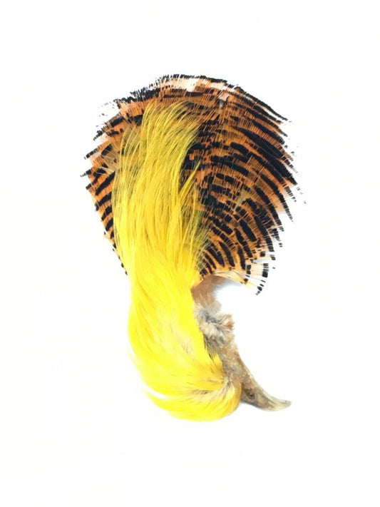Golden Pheasant Complete Head