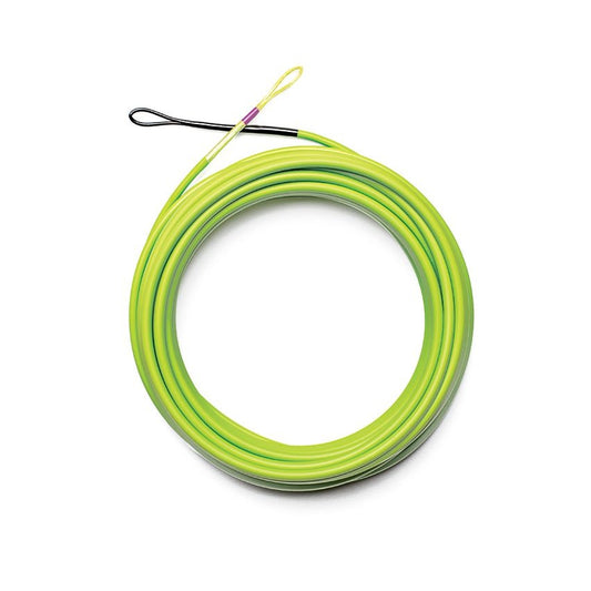 Skagit Scout -