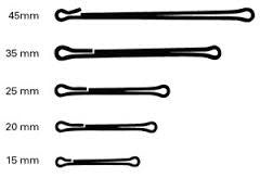 Waddington Shank -